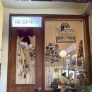 호텔 카라멜(Hotel Karamel) | 동해 묵호 숙소 호텔 카라멜, 여성전용 도미토리 2박 연박 후기