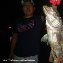 대부도바다낚시터 이미지