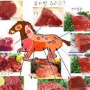 육회랑 사시미랑 이미지