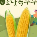 자연애보감 이미지