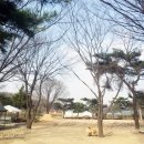 카페(cafe) 다시올