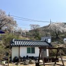 성왕로 옥천-15 이미지