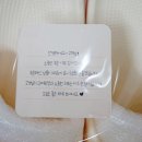 솜라이 이미지