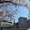 (주)여행하는 사람들