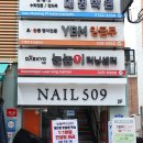 NAIL509(네일509)