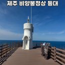 비양길100 | 제주 비양도 가볼만한곳 비양봉정상 등대 전망 후기