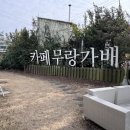무랑가배 이미지