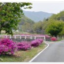 한천리 이미지