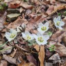 바람꽃공원 이미지