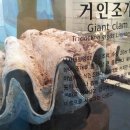 잠수부닷컴 이미지