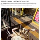 커피매니저 - 인제군 인제로206번길 9 | 커피매니저