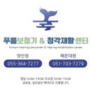 푸름보청기