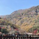 팔덕보건지소 이미지