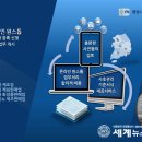 LSH 행정사 사무소 세계뉴스통신
