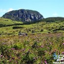 대전으로 가는 여행 이미지