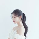 알레스소프트