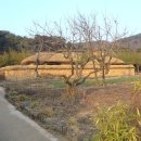 노무현대통령생가 이미지