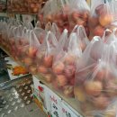 싱싱청과 이미지