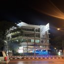 고동물병원 | 애견동반 치앙마이 한달살기 - 치앙마이 동물병원 후기(Thonglor Pet Hospital Chiang Mai Airport)
