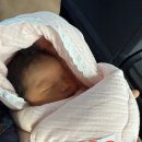 봄빛헤어 - 전주시 완산구 | 봄빛조리원 2관 VIP실 2주 이용 후기💟