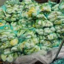 맘편한재가복지센터 이미지