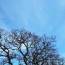 솔밭목장 이미지