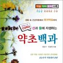 민간약초 생활한방 이미지