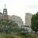 진포중학교 이미지