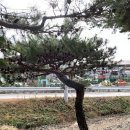 진소농장 이미지