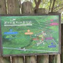교래생태체험장 | 🥾 제주 붉은오름 자연휴양림 &amp; 교래퐁낭｜삼나무숲 트레킹과 향토음식 솔직후기