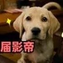 이가락 이미지