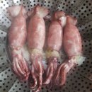 총알야식 | 봉봉상점 주말 간식 추천 회오리 핫도그 미니 총알오징어 전설의 왕만두