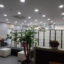 홀리스틱건강지압원 이미지