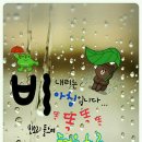 비가와 이미지