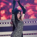 피지아이주