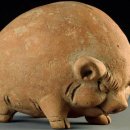 돼지제국 이미지