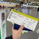 합성동278 | [voyage] 일본 후쿠오카_ 혼자 입국 수속, 지하철, 버스, 택시, 모츠나베