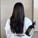 열손가락헤어 | 열보호 헤어에센스 추천, 다비네스 오아이 올인원밀크 후기