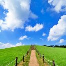 너른초원 이미지