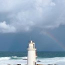 이레네 강아지 | 산티아고 순례길_12 : 사리아부터 세상의 끝까지