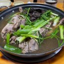 약산궁 능이버섯 이미지