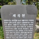 대왕초등학교 | 명품 강남둘레길 2코스 [생태 하천길(봄)] 탐방 후기(2026. 05. 01)