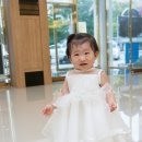 복실강아지 이미지