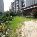 접시꽃민박 이미지