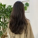 공작미용실 이미지