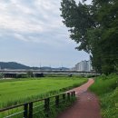 정림세월교 Daum카페