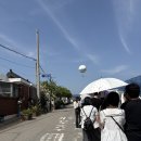 파란대문 | 행궁동 파란대문 장미 주말 방문 후기 +꿀팁