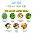 림 스칼프 | 에코글램 스칼프클렌징샴푸-린스없이부드럽게