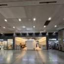 용산역 KTX 코레일 라운지 운영시간 카페 트리핀 커피 이용 후기