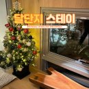 달단지스테이 | 대구감성숙소 달단지스테이 후기 | 엄마와 떠난 모녀여행, 힐링 가득한 하루